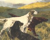 托马斯 布林克斯 : Unity